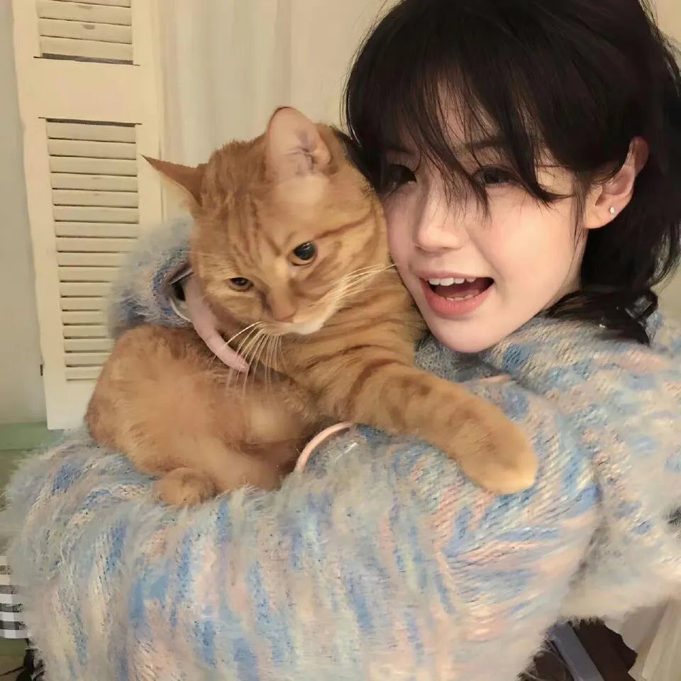 猴王与七超人